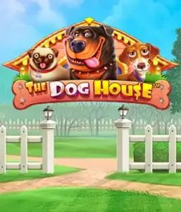 Pragmatic Play's The Dog House adventure, offering a delightful experience among charming canines. Engage in gameplay elements including sticky wilds, designed for delivering exciting wins. Ideal for those who enjoy a lighthearted theme alongside lucrative rewards.